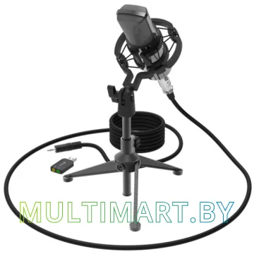 Микрофон Ritmix RDM-160 картинка 2